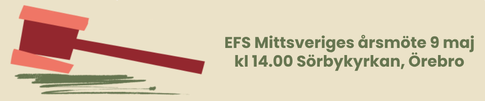 EFS Mittsveriges årsmöte 2024