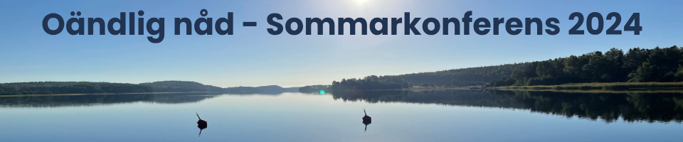 Sommarkonferens 2024